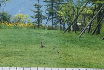 悦榕庄大堂吧 User Photo