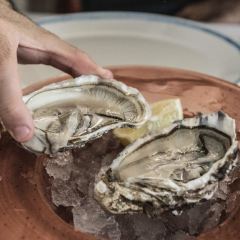 Trattoria del Pescatore User Photo