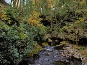 Bushkill Falls