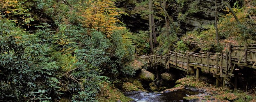 Bushkill Falls