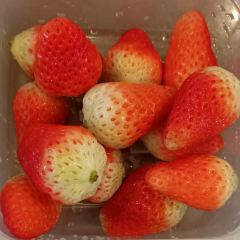 Denis Jaz Cafe User Photo