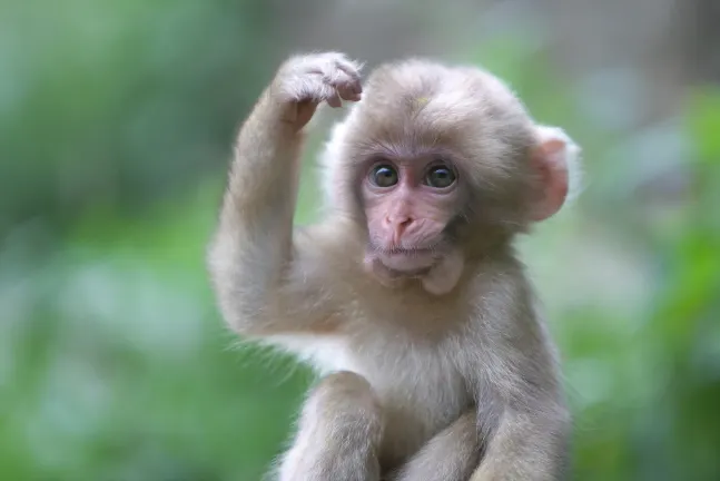 2-звездочные отели в г. Цзиньсян