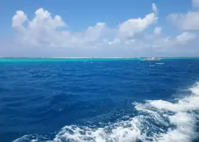 West Marine-Underwater Sightseeing Tour