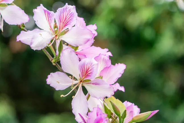 Отзывы об отеле The Grand Hotel Ginowan