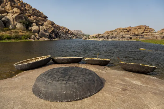 Разрешено размещения с домашними животными Отели в г. Майсур