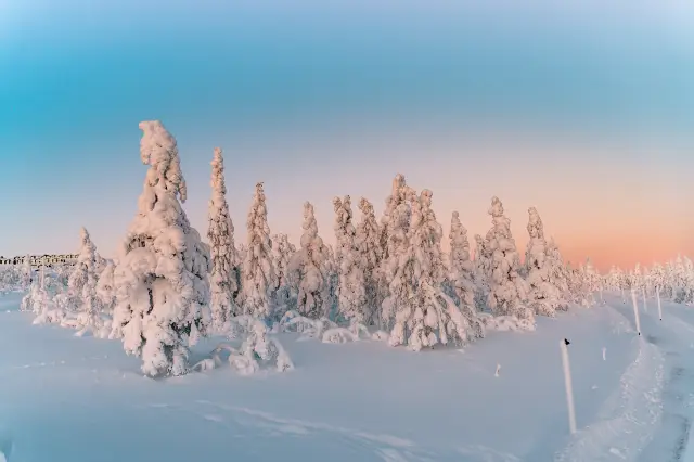 羅瓦涅米滑雪