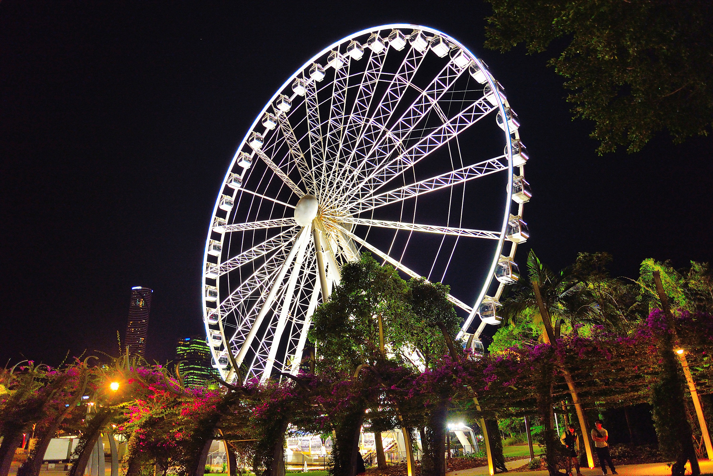 The Wheel of Brisbane  Iconic Ferris Wheel Breathtaking Views