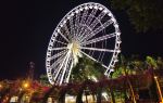 The Wheel of Brisbane.