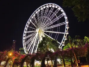 The Wheel of Brisbane.