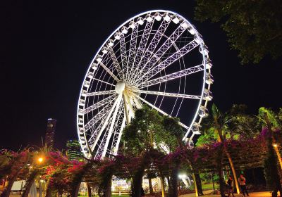The Wheel of Brisbane.