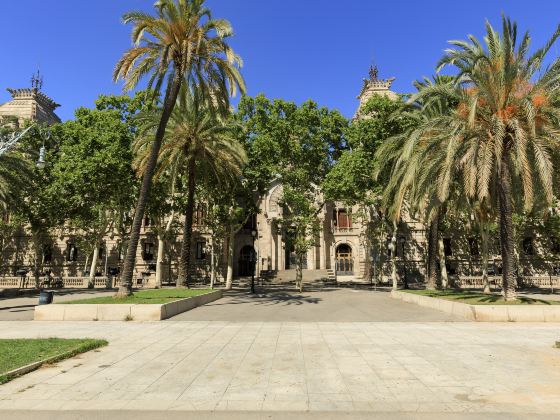 Barcelona Zoo