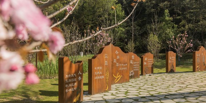 리수이 화둥 약용식물원