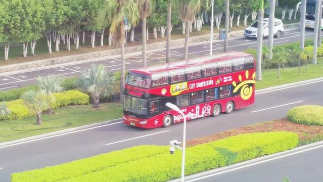 Ludao Sightseeing Tour Bus