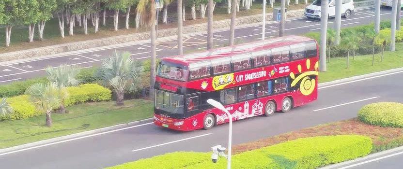 Ludao Sightseeing Tour Bus