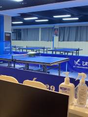 新鴻業乒乓球俱樂部