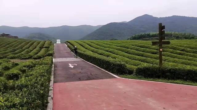 룽츠산(용지산) 자전거 공원