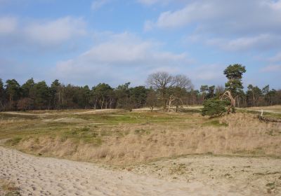Waalwijk