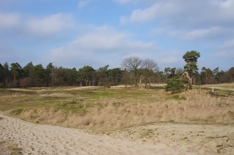 Waalwijk