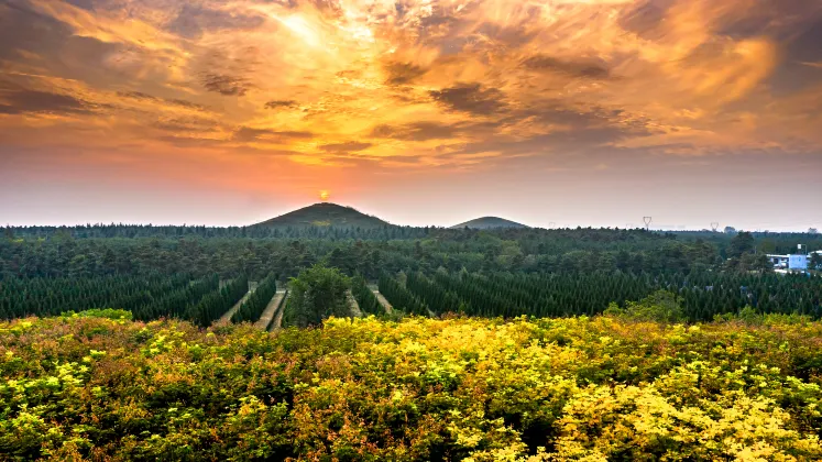 Разрешено размещения с домашними животными Отели в г. Шанло