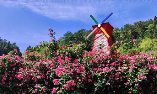 桂峰古村落景区