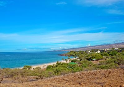 Hilo