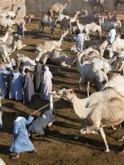 Birqash Camel Market (Souq al-Gamaal)