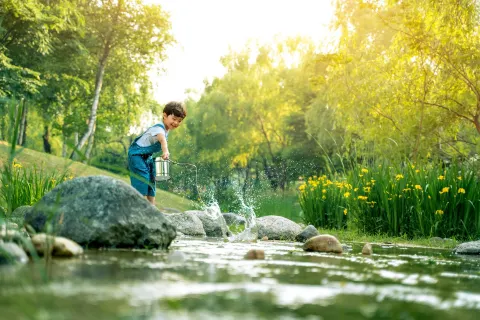 Water Fun Attractions