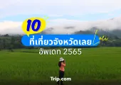 10 ที่เที่ยวจังหวัดเลย สัมผัสธรรมชาติ งามวัฒนธรรม ในเมืองทะเลภูเขา