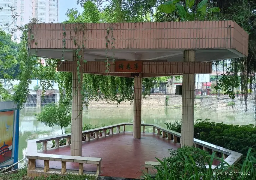 Kowloon Park