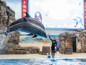 Changsha Sea World