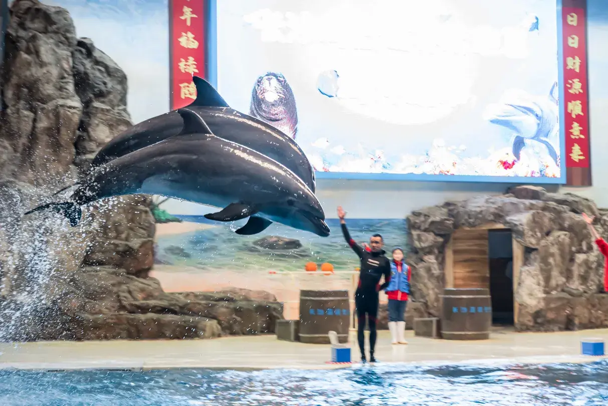 3_Changsha Sea World