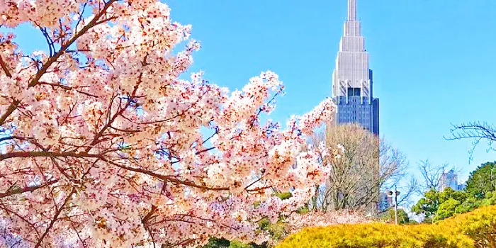 新宿御苑 image 0