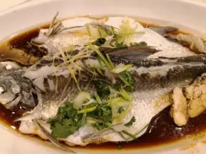 Century Fishing Port