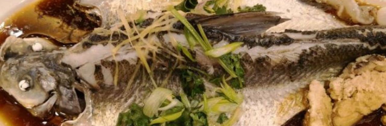 Century Fishing Port