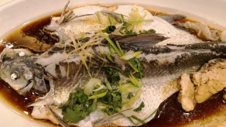 Century Fishing Port