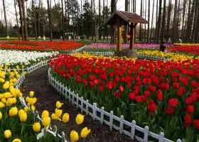 Ботанический сад Чжуншань