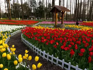 난징 중산 식물원