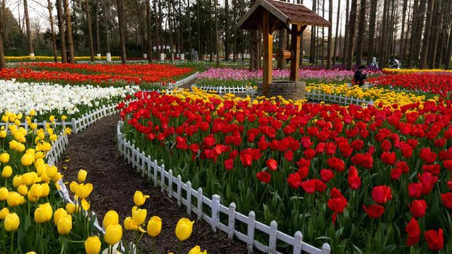 Nanjing Botanical Garden Mem. Sun Yat-sen