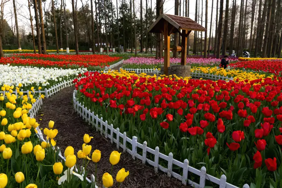 南京中山植物園