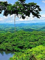 Sarapiqui Conservation Learning Center