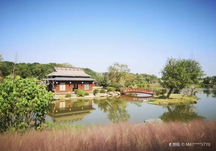 Hotels near Longyou Flower Sea