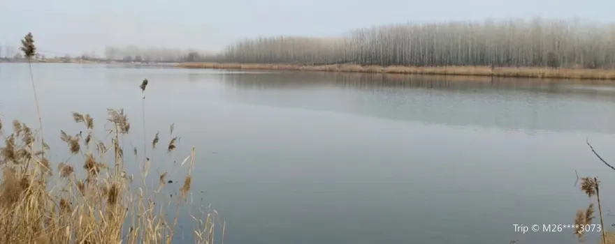 Xiaoxian Huanghe Gudao Wetland Park