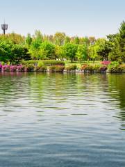 Ilsan Lake Park Goyang Flower Exhibition