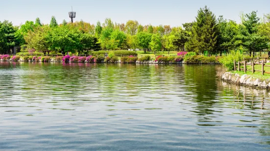 Ilsan Lake Park Goyang Flower Exhibition