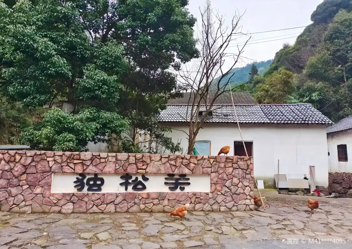 Hotel in zona Dusongguan