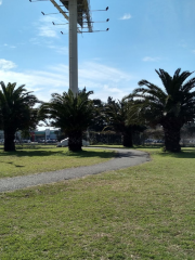 Plaza de los Artilleros