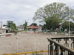 Парк Бенито Хуарес