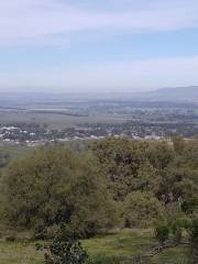 Scone Mountain National Park