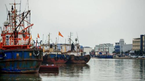 呂四國家中心漁港