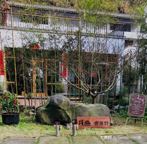 qian dao hu mao shan · qing tian ye